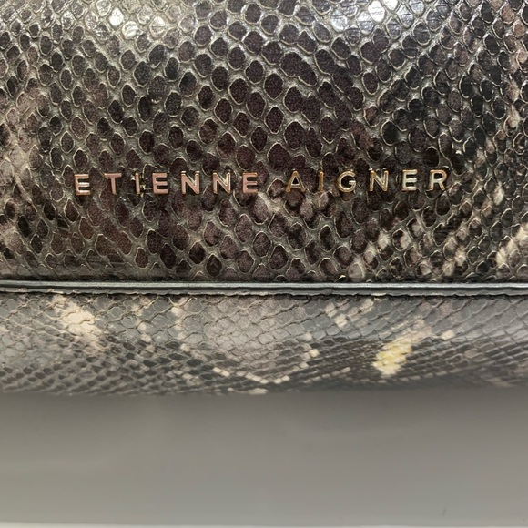 Etienne Aigner Penn Smoke Grey Snake Tote - Picture 3 of 17